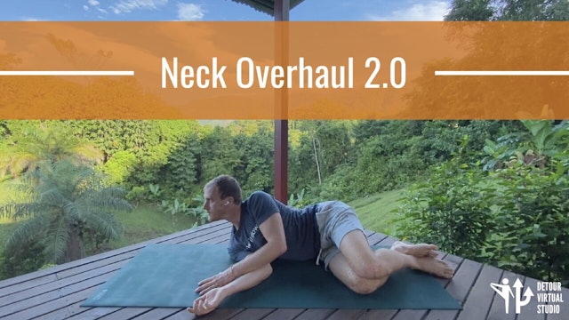 Neck Overhaul 2.0