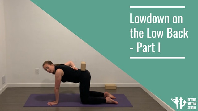 Lowdown on the Low Back - Part I