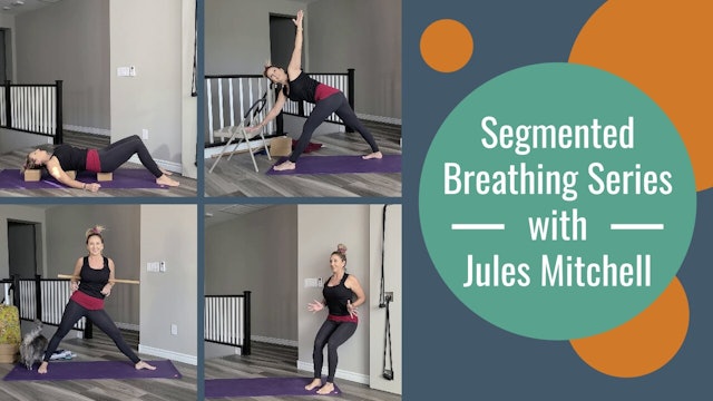 Segmented Breathing Series with Jules Mitchell
