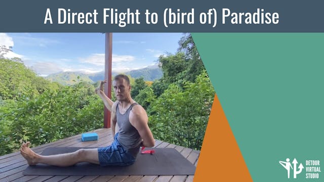 A Direct Flight to (bird of) Paradise