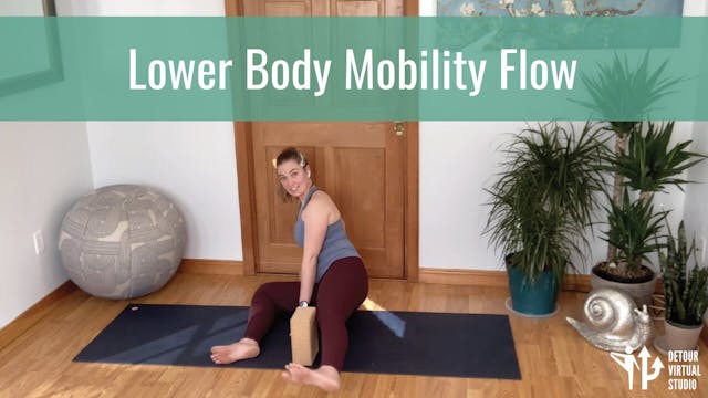 Lower Body Mobility Flow