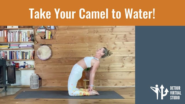 Take Your Camel to Water!