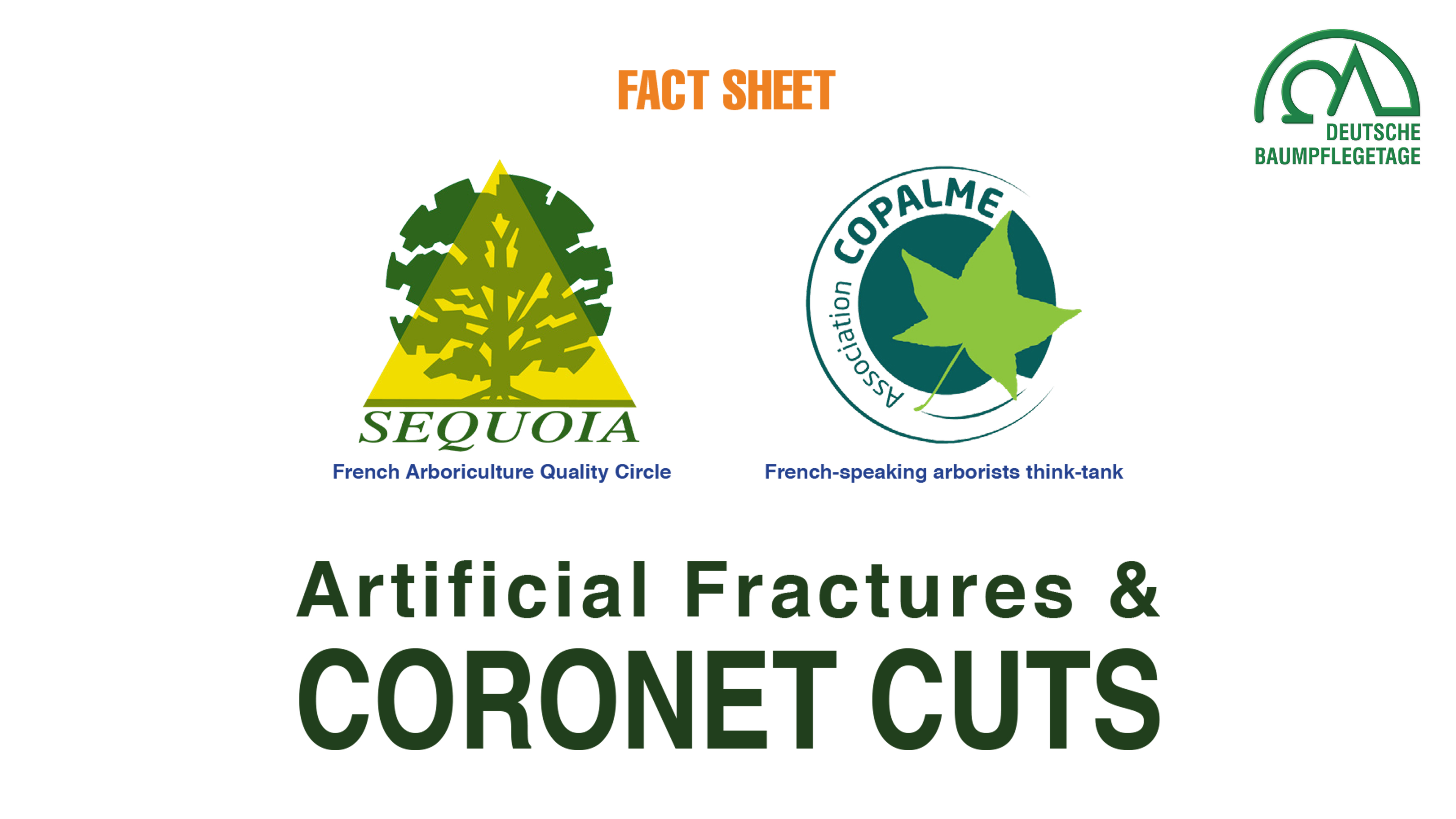 Artificial Fractures and Coronet Cuts