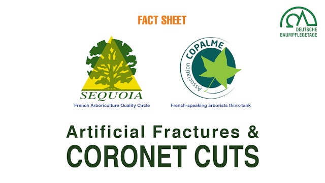 Artificial Fractures and Coronet Cuts