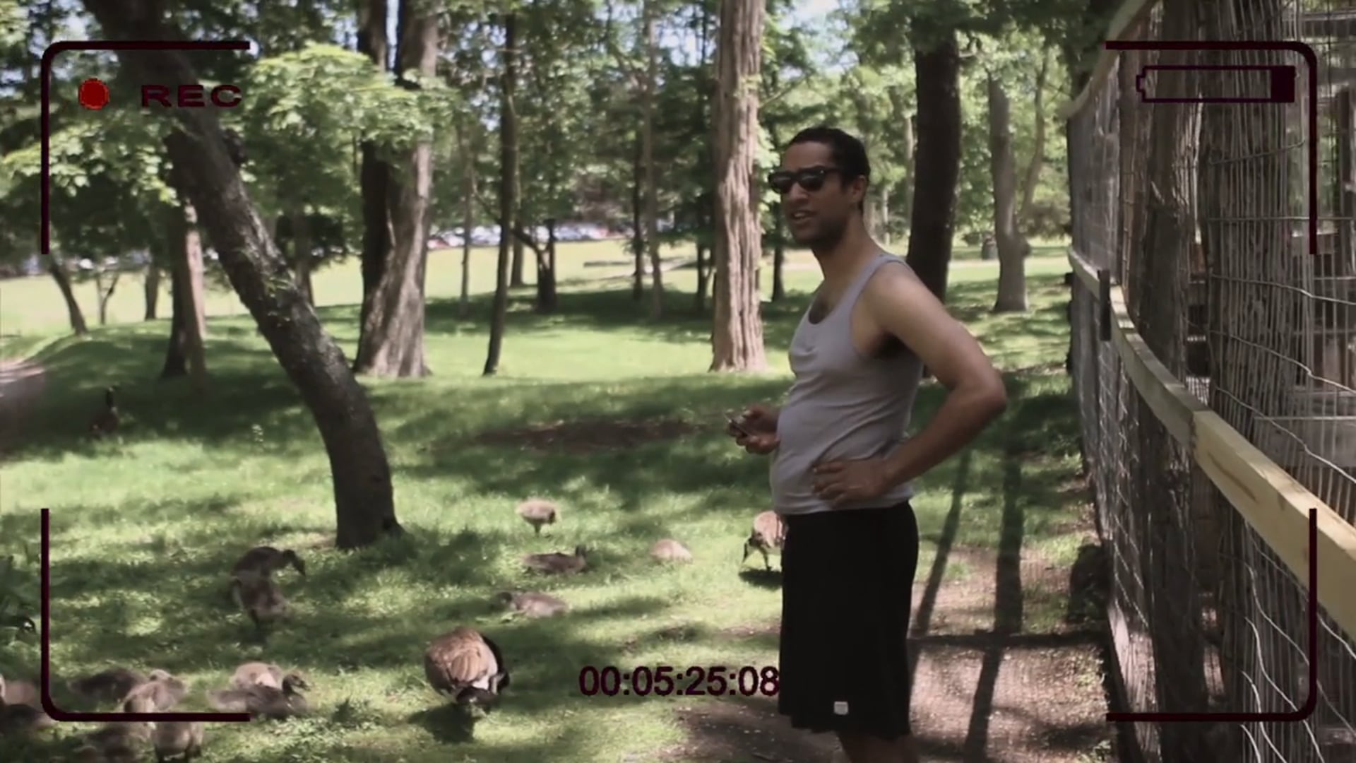 The American Nightmare