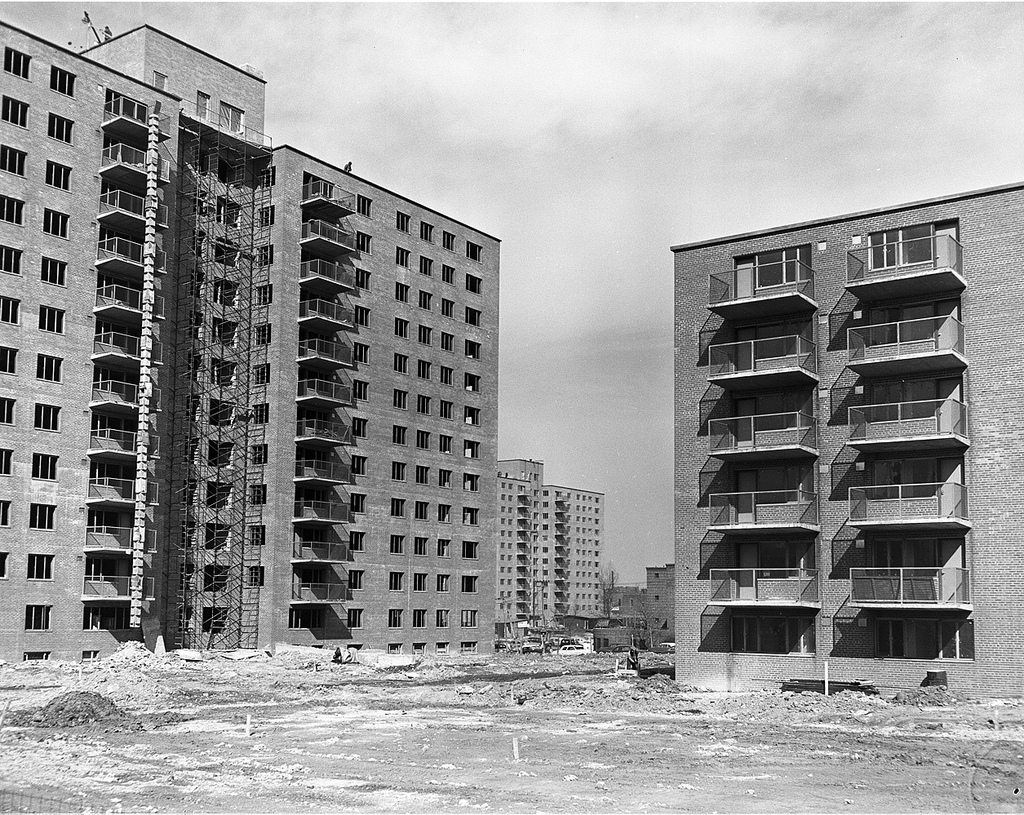 Target: St. Louis -Trailer