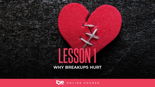 Lesson 1 - Why Do Breakups Hurt