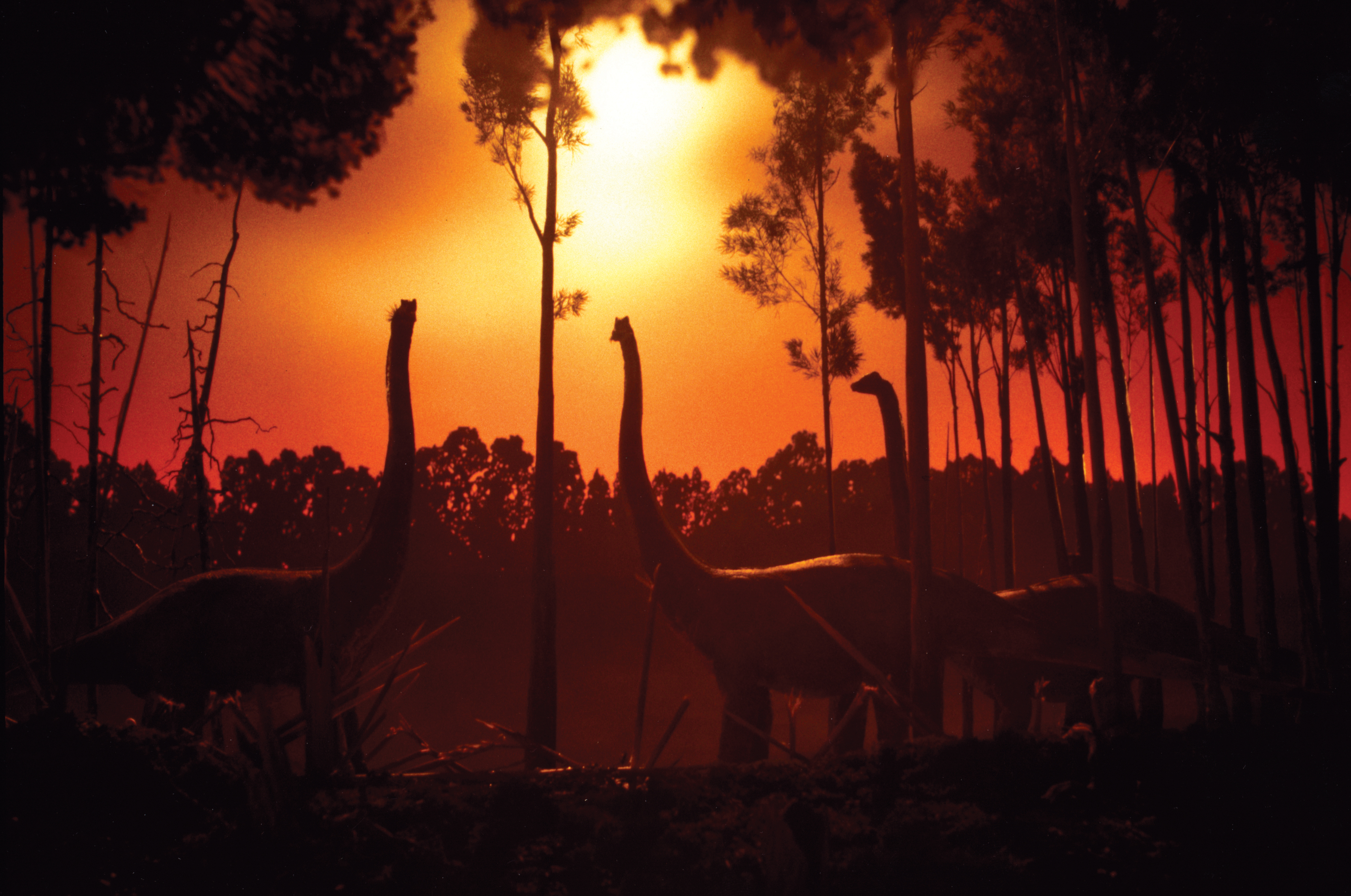 Phil Tippett's Prehistoric Beast