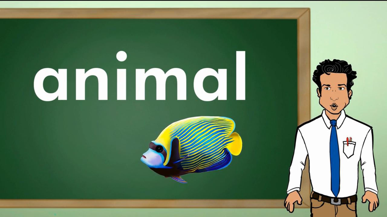 La Letra A (The Letter A)