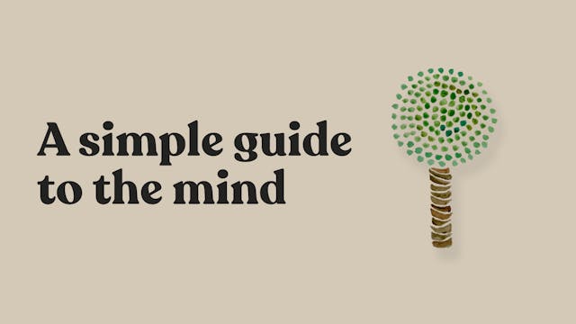 A Simple Guide To The Mind