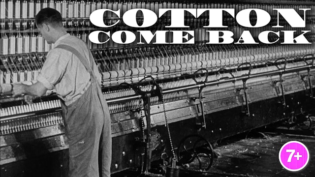 Cotton Come Back