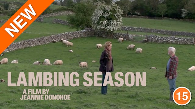 Lambing Season (Breeda Wool)