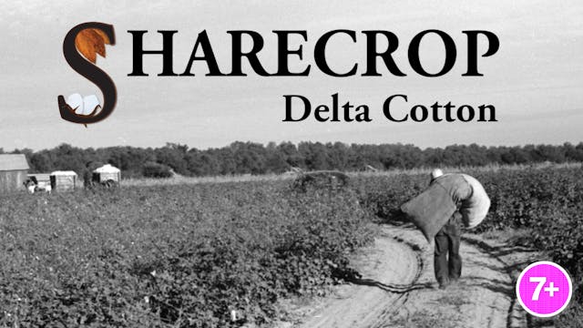 Sharecrop: Delta Cotton