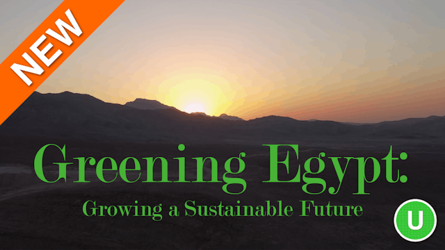 Greening Egypt: Growing a Sustainable...