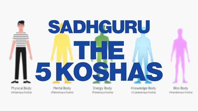 Sadhguru (Part 8) - The 5 Koshas