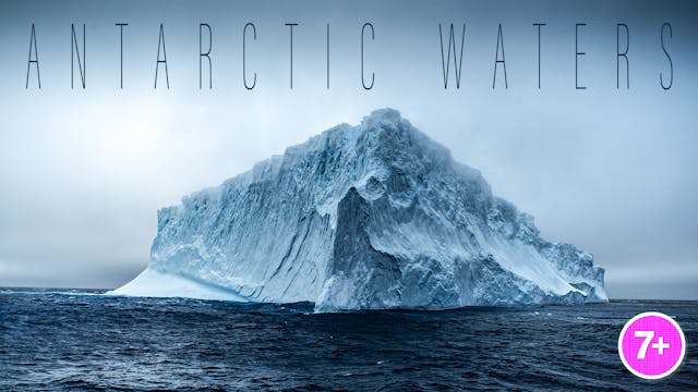 Antarctic Waters