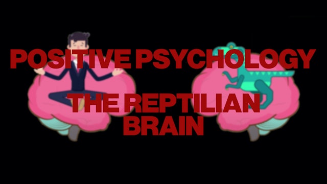 Positive psychology (Part 4) - The Reptilian Brain