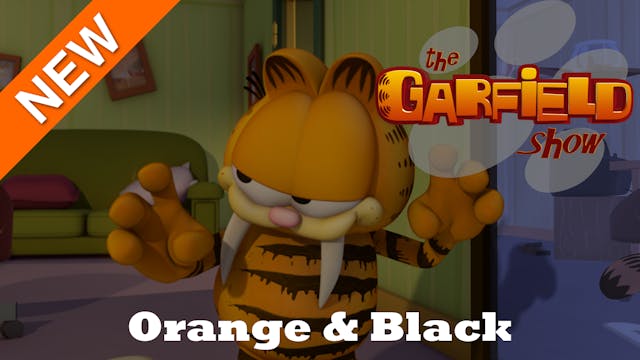 The Garfield Show - Orange and Black ...