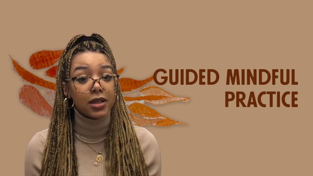 Guided Mindful Practice
