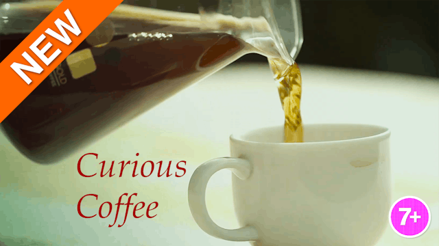 Curious Coffee
