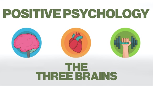 Positive psychology (Part 5) - The Three Brains