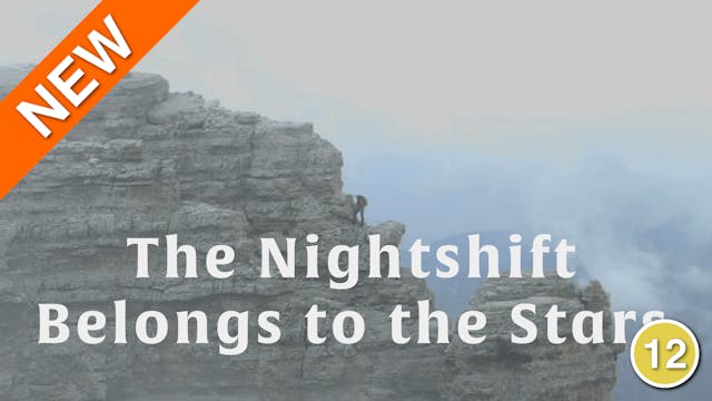 The Nightshift Belongs to the Stars