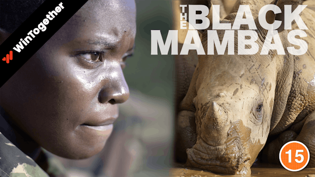 The Black Mambas