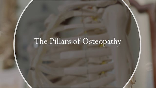 The Pillars of Osteopathy
