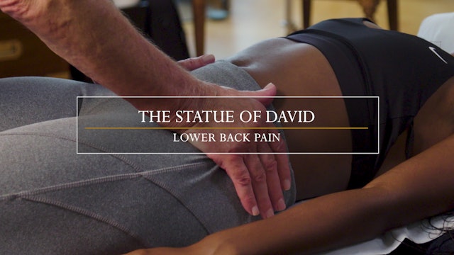 17. The statue of David / Lumbar Spine & Sacrum 