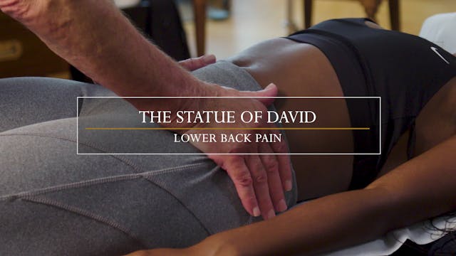 17. The statue of David / Lumbar Spin...