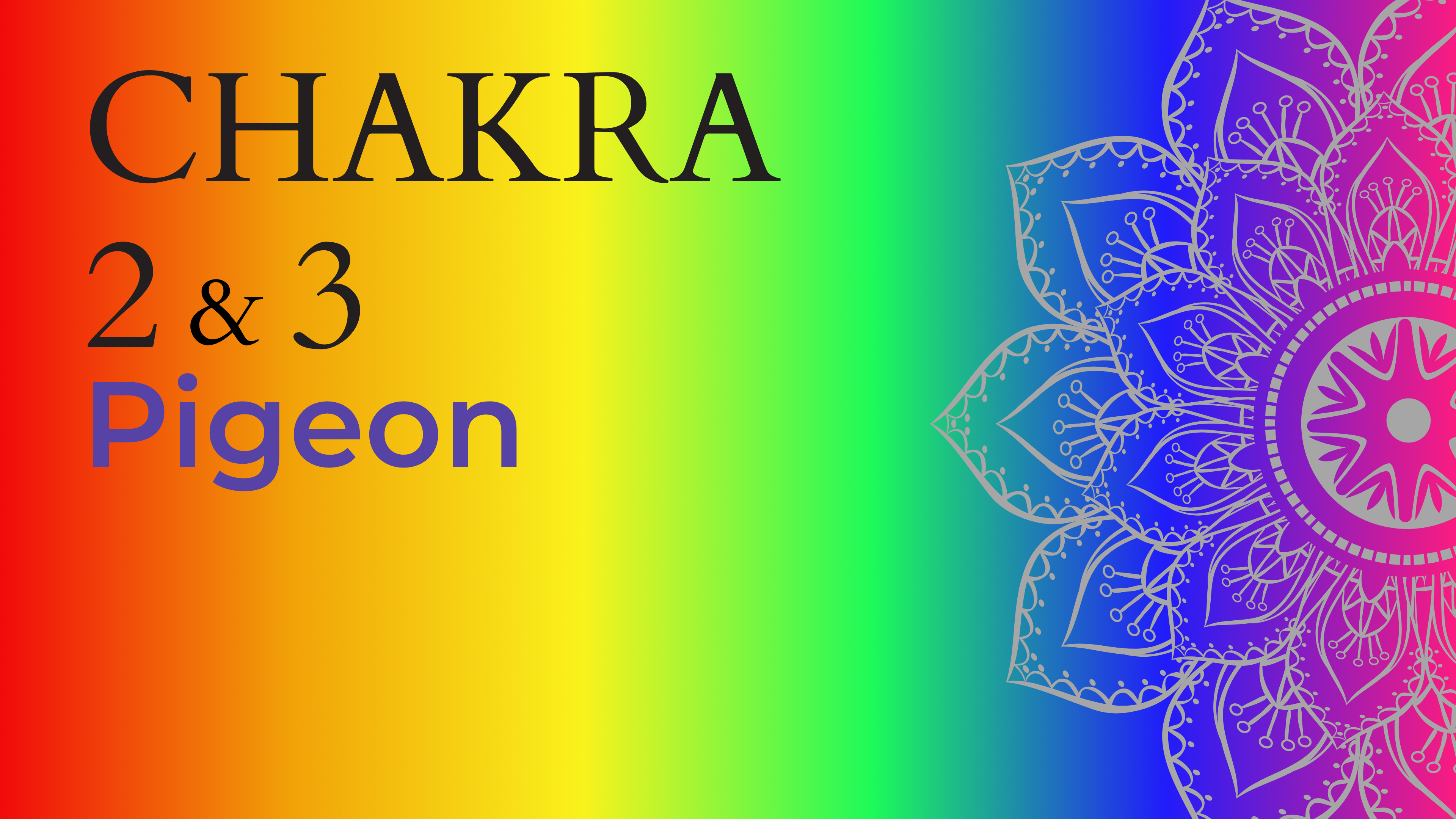 Chakra - Pigeon