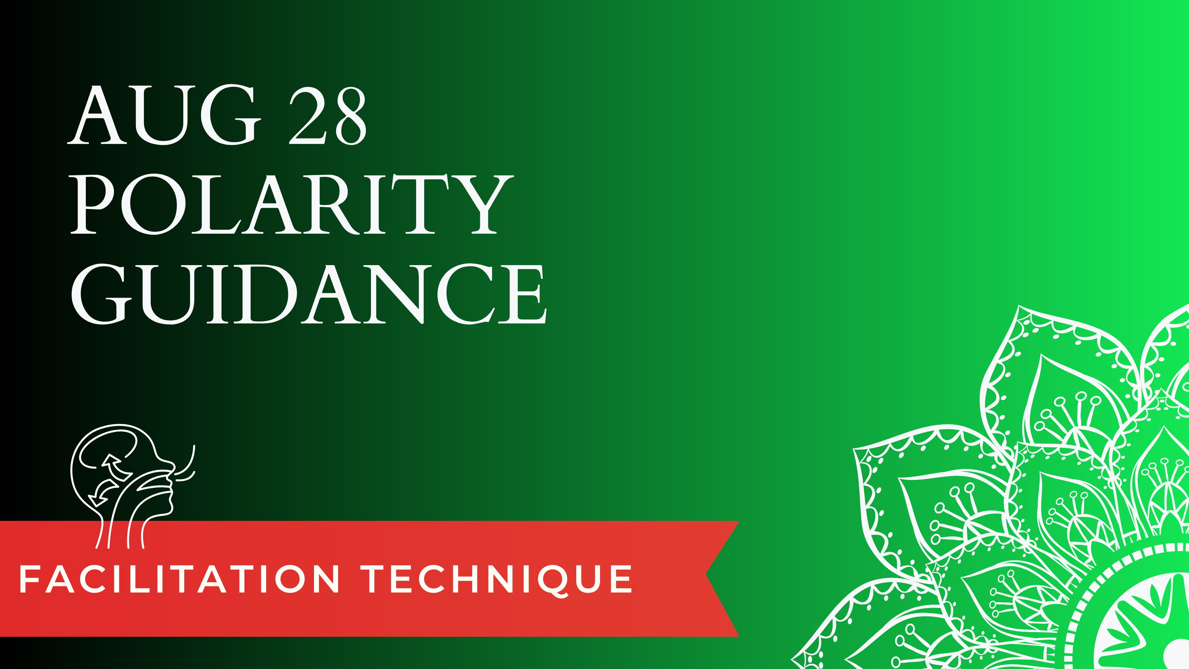 Polarity Guidance Aug 28