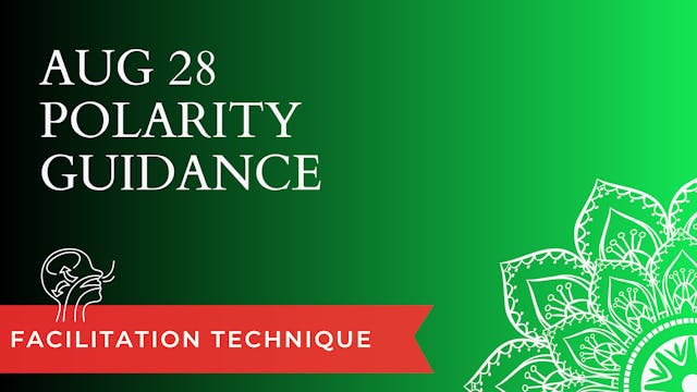 Polarity Guidance Aug 28