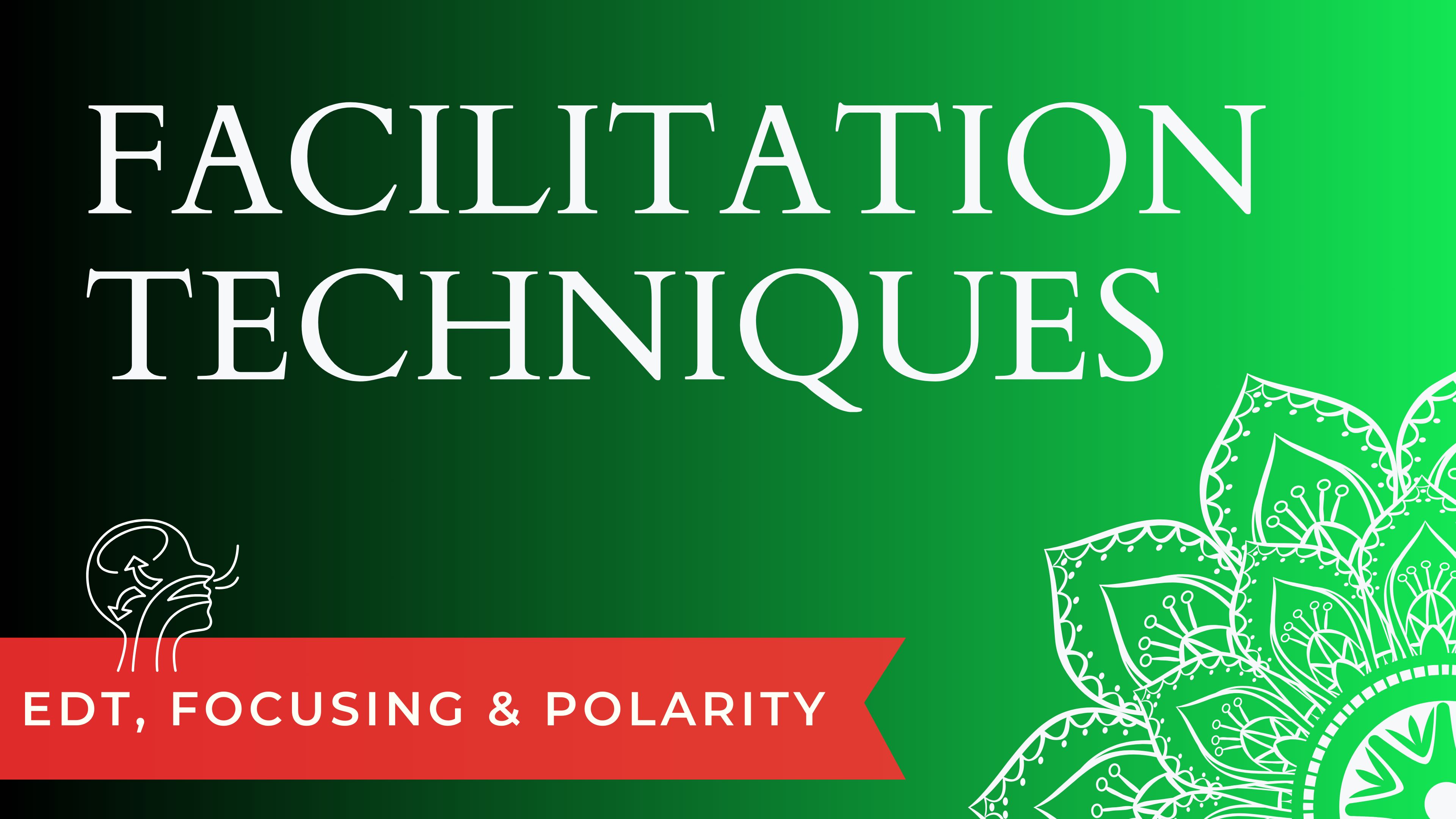 Facilitation Technique Intro