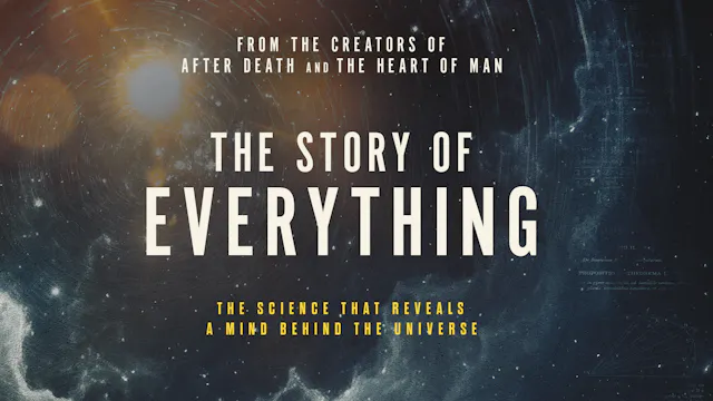 The Story Of Everything