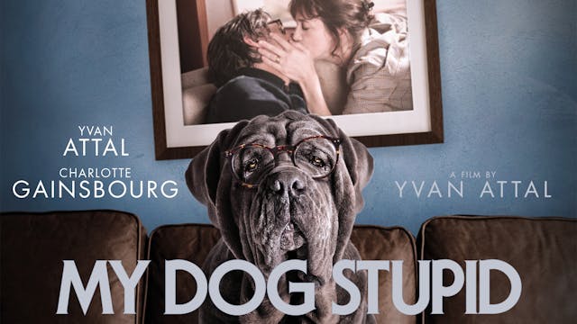 My Dog Stupid - Directed by Yvan Attal