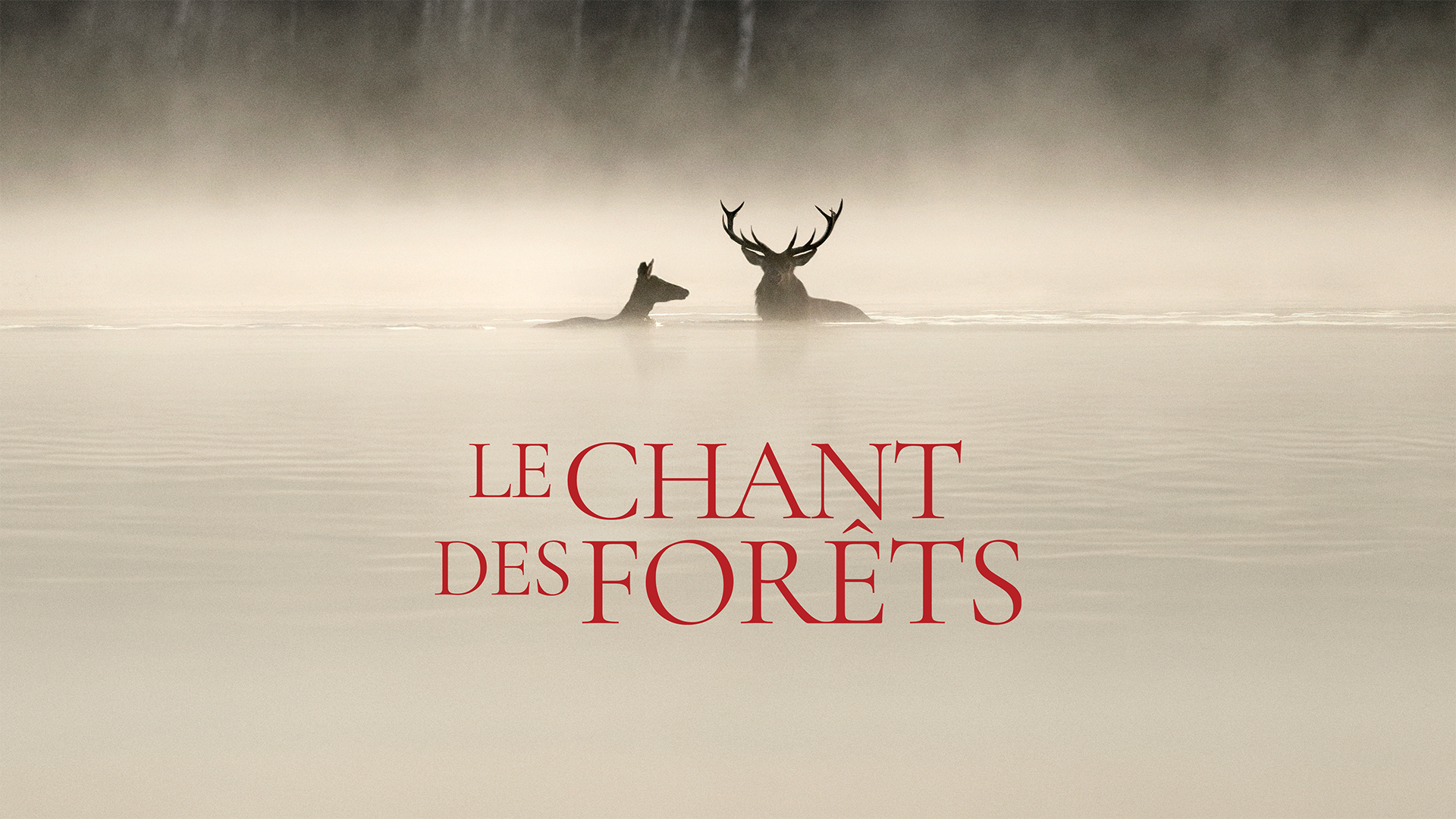 Le chant des forêts - Film VOF