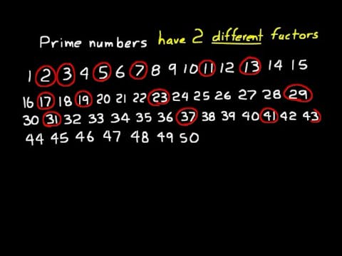 Lesson 19 Dive 7/6, 4th Edition