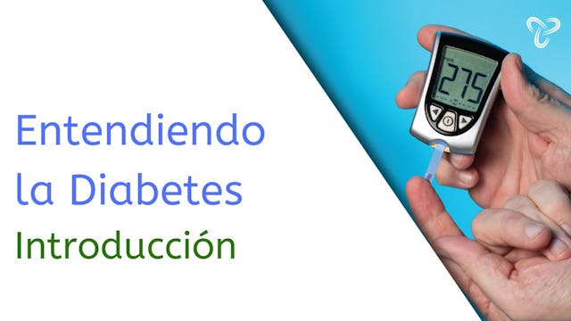 DSME01 Making Sense of Diabetes_ An Introduction en Español