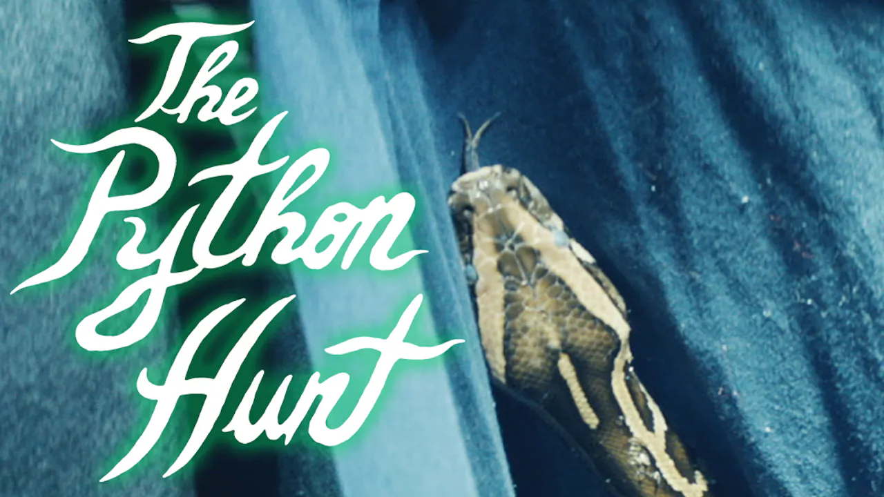 The Python Hunt