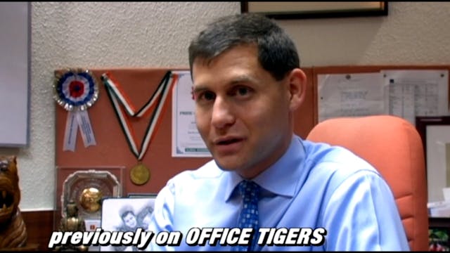 Office Tigers Integrity