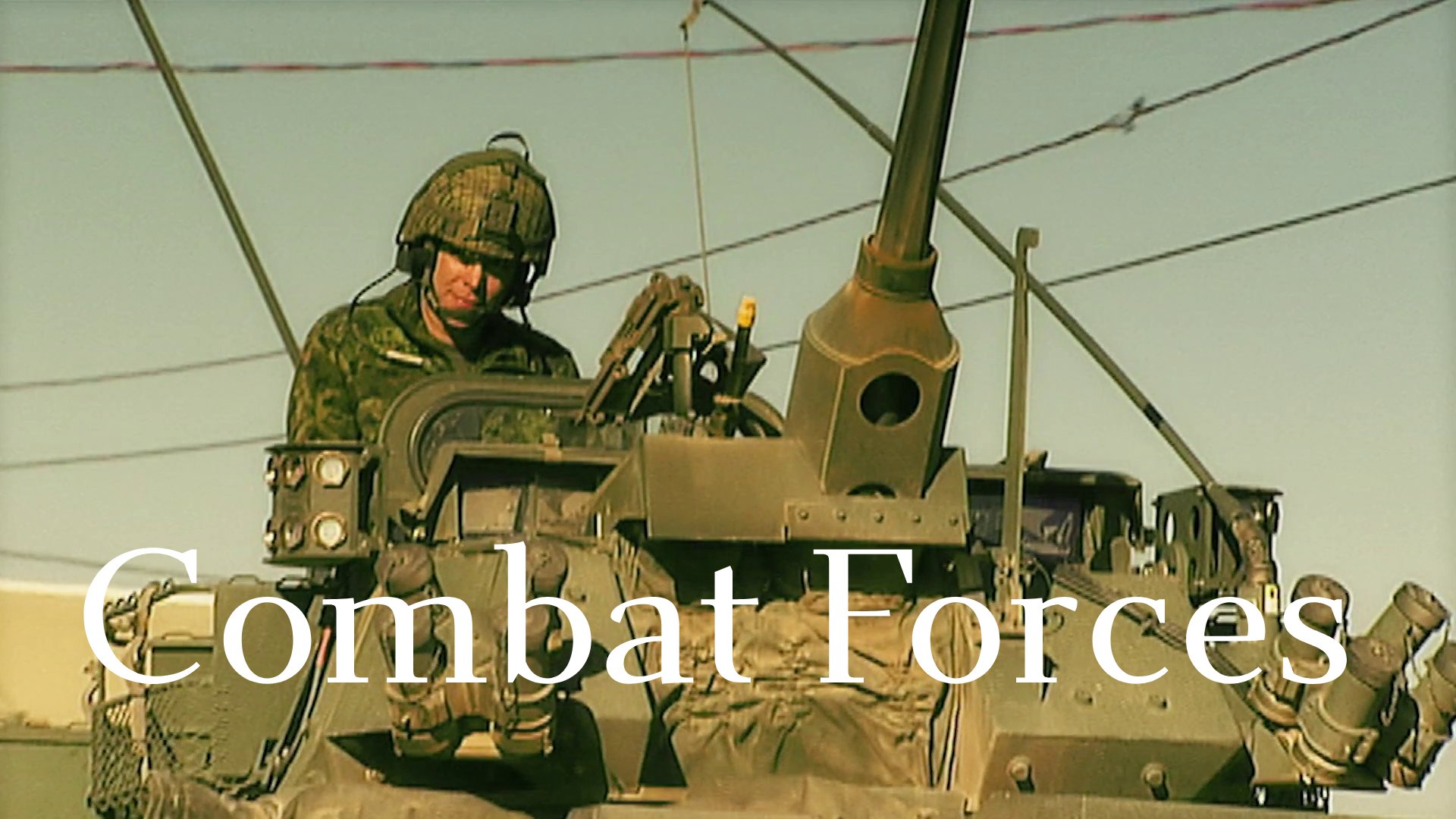 Combat Forces - Artillery