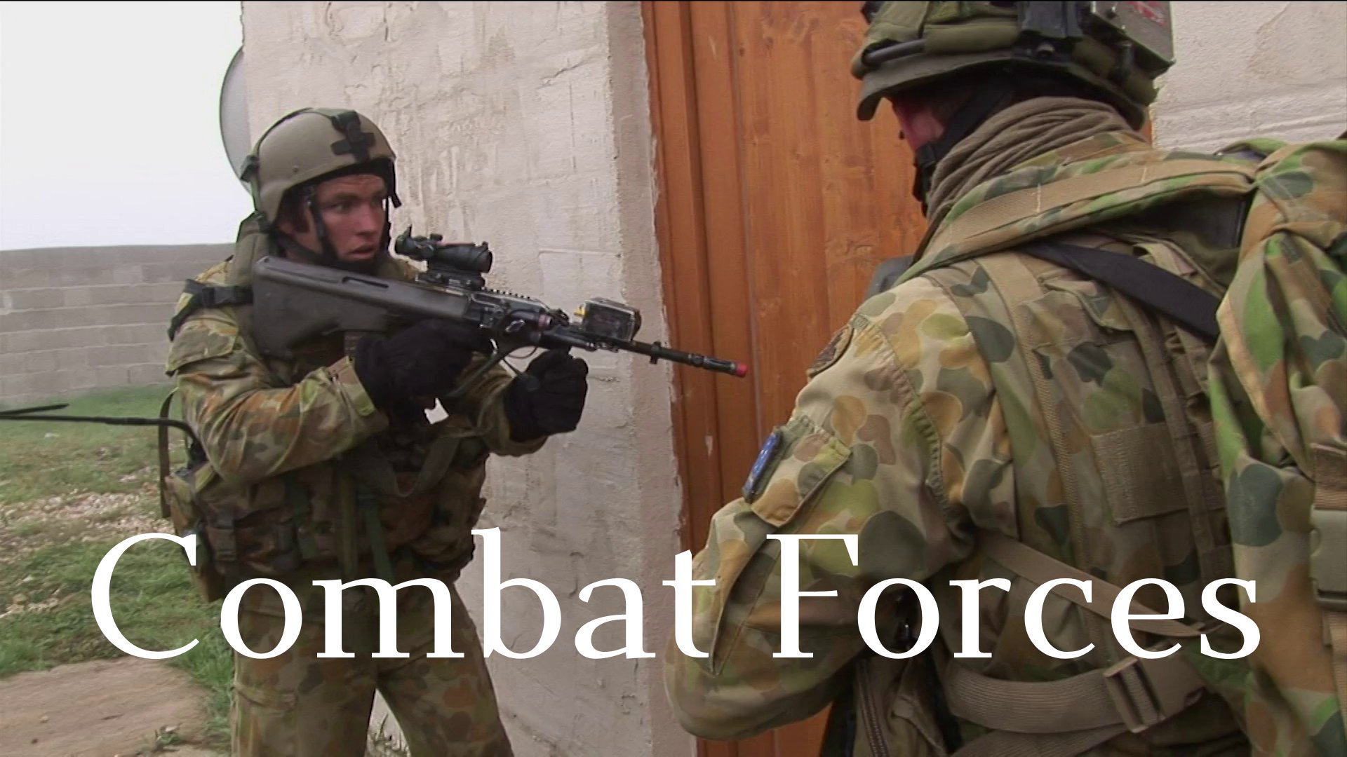 Combat Forces - Army Combatives