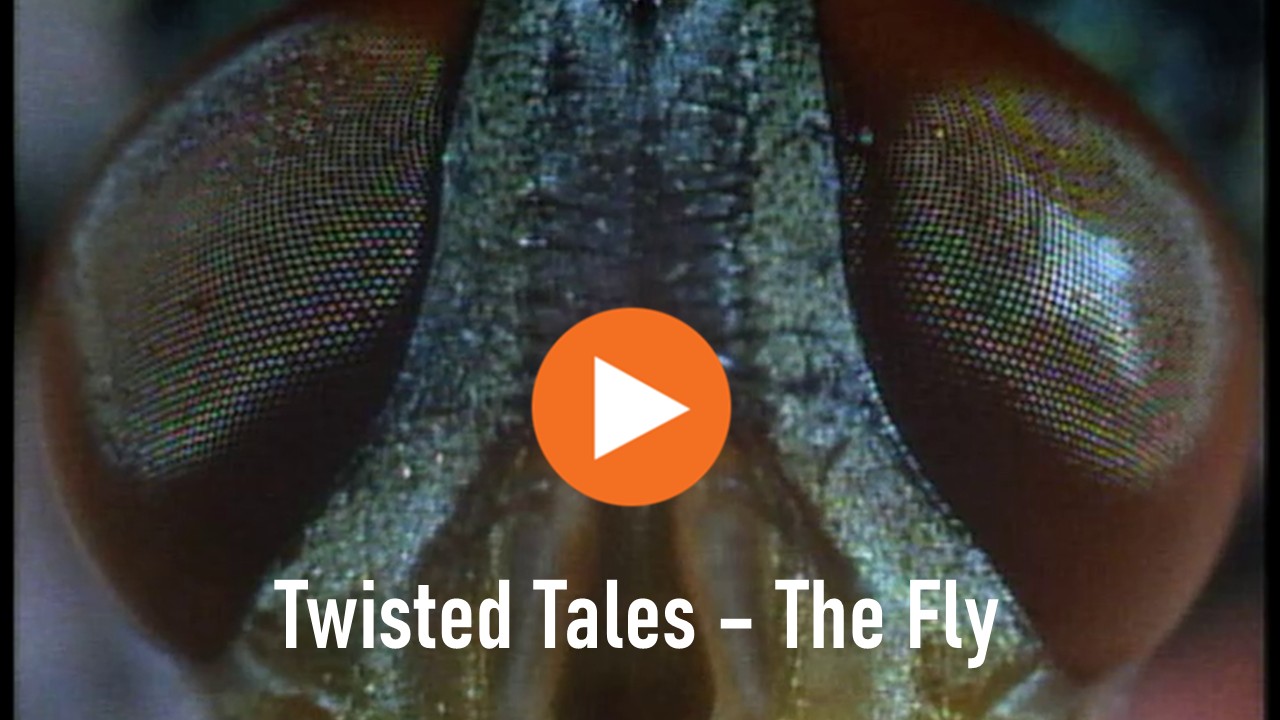 Twisted Tales (series 2/5 The Fly) Trailer 