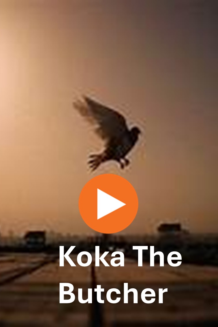 Koka The Butcher 