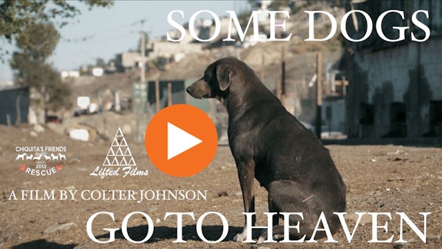 Some Dogs Go To Heaven