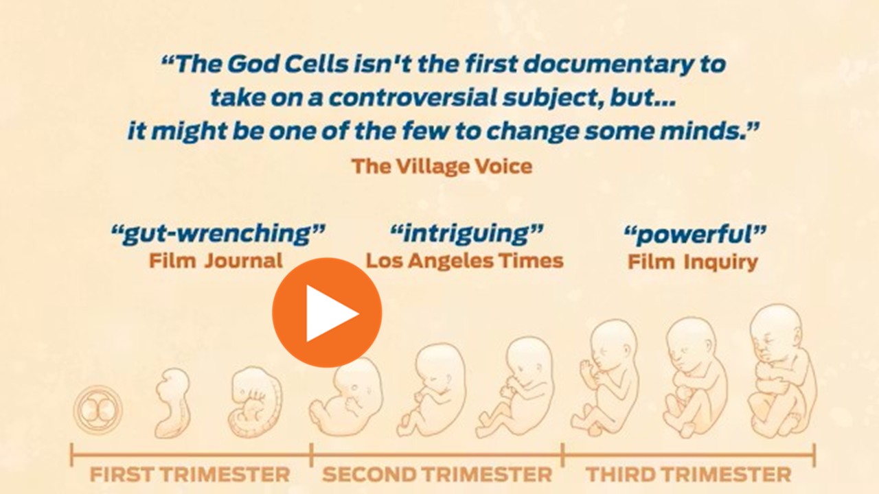 The God Cells: The Fetal Stem Cell Journey