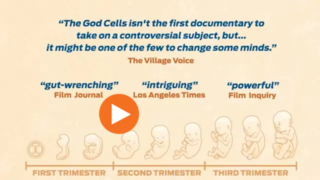 The God Cells: The Fetal Stem Cell Jo...