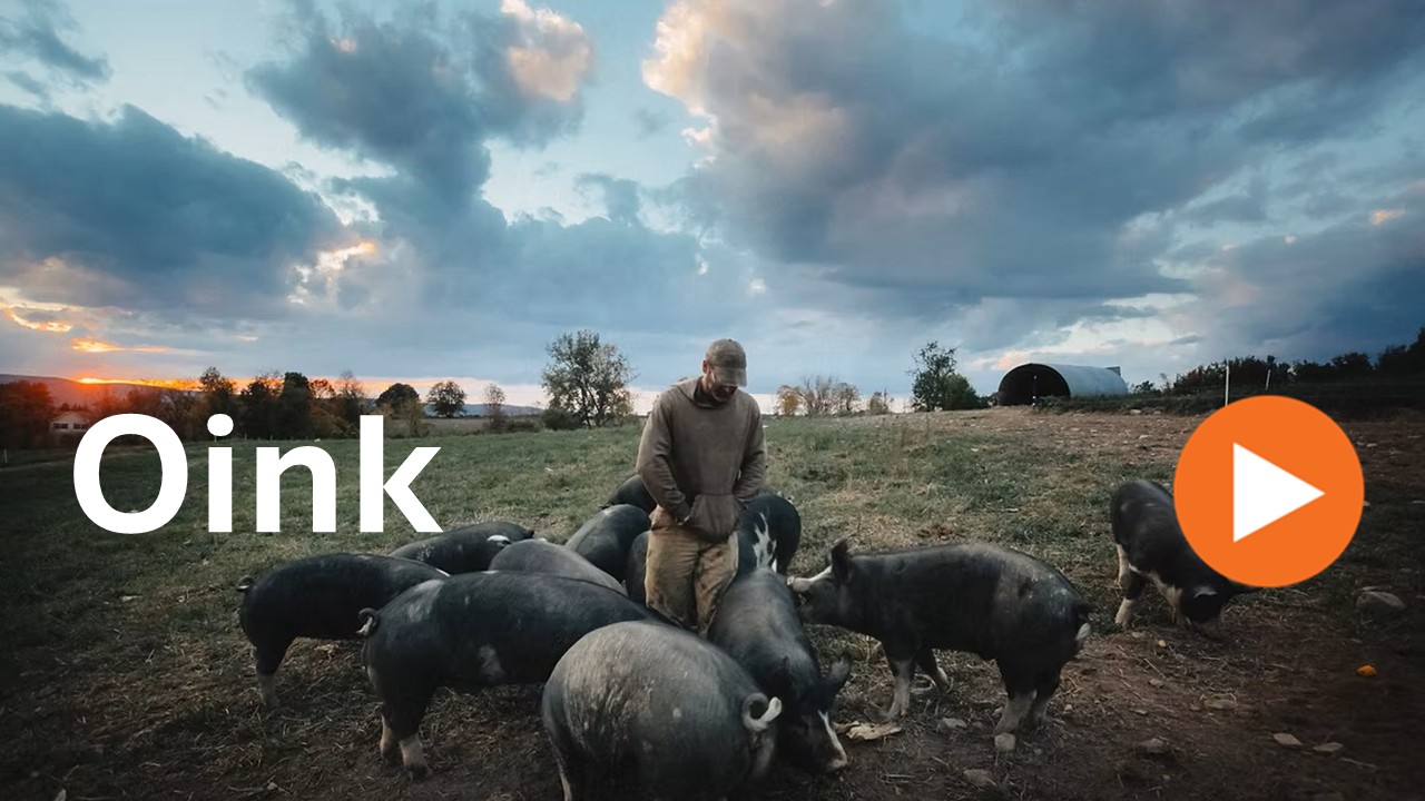 Oink