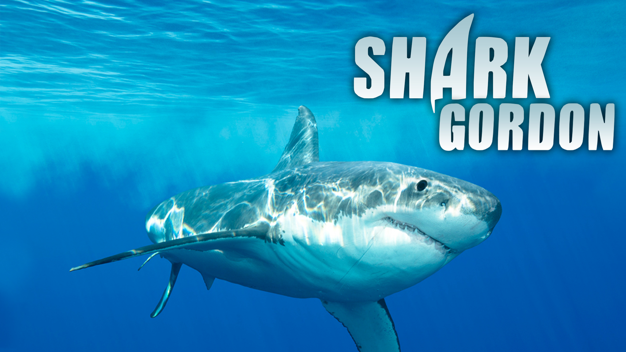Shark Gordon